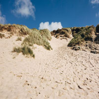 My summer vacation to the Oregon Coast. I love the sandy dunes!