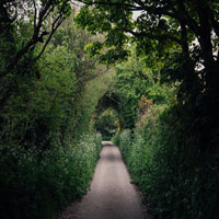 We enjoyed a quiet stroll down this countryside lane.